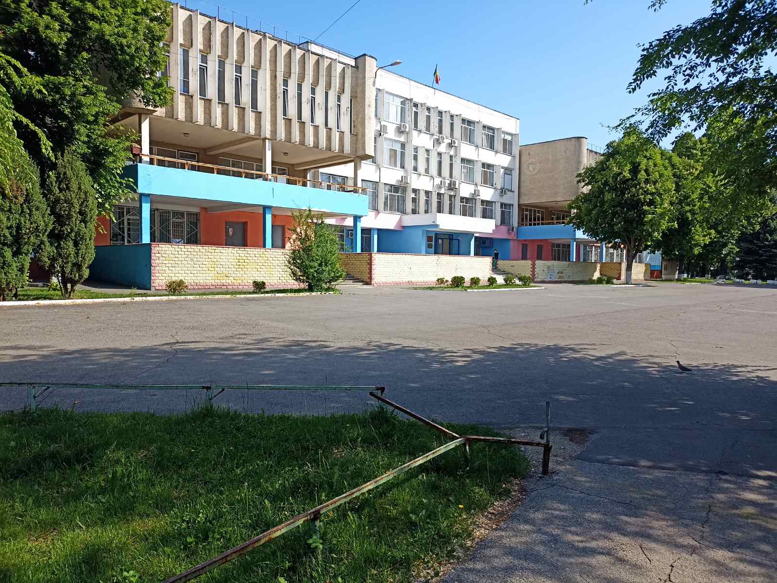 5-Î